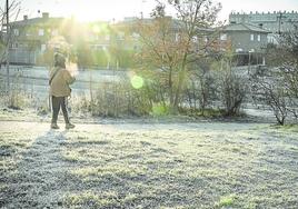 Vitoria registró ayer heladas en las primeras horas del día.