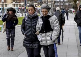 Varios ciudadanos se protegen del frío en Vitoria.