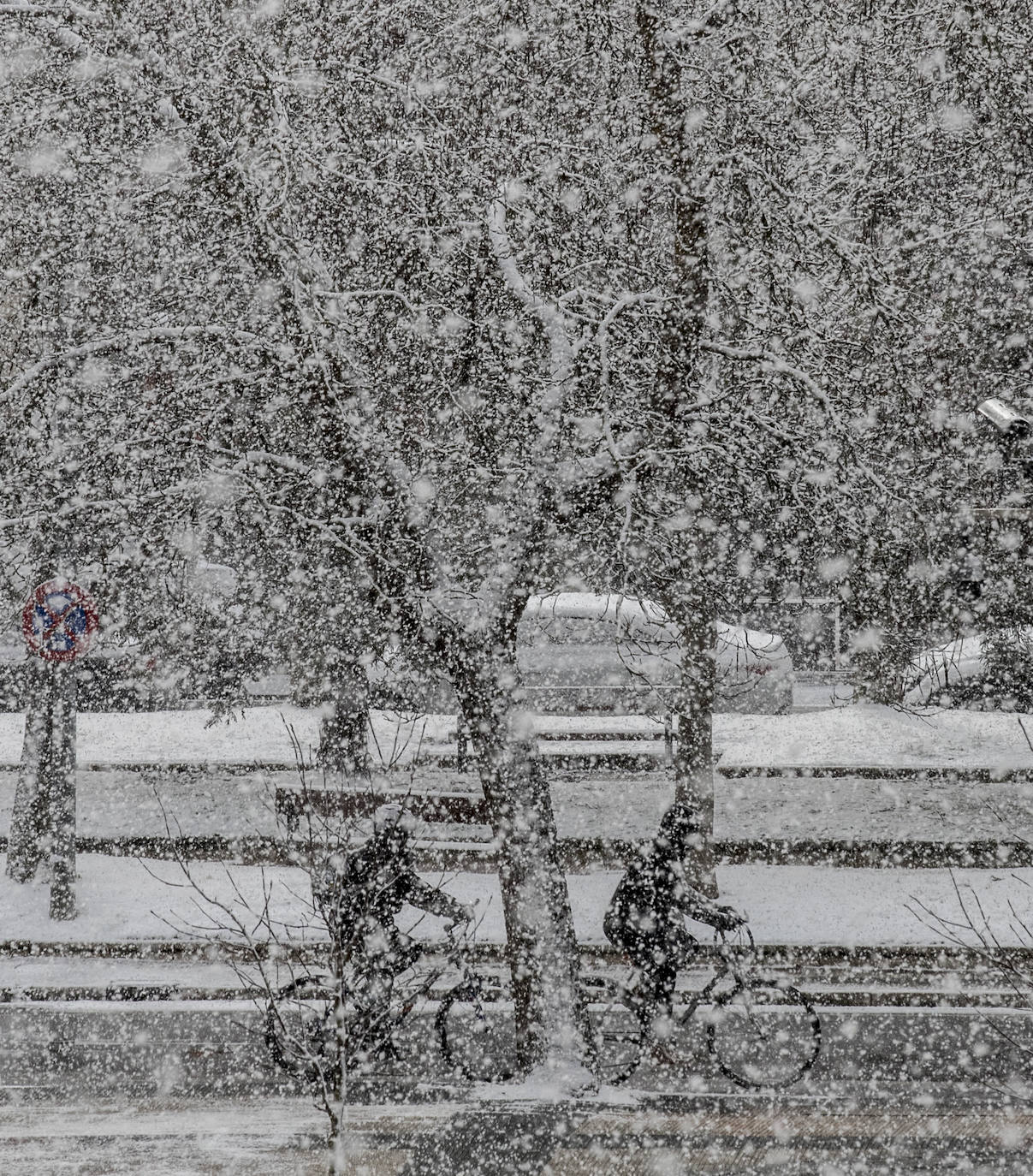 La nieve arrecia en Vitoria y dificulta la conducción en Álava