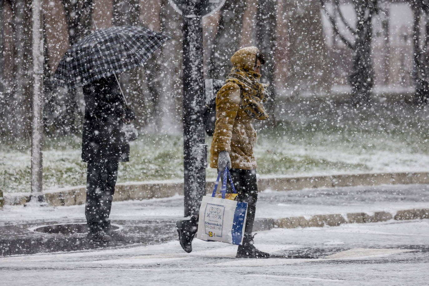 La nieve arrecia en Vitoria y dificulta la conducción en Álava