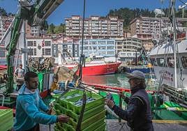 El 'Kalamua' de Lekeitio descarga sus capturas de anchoa en Ondarroa.