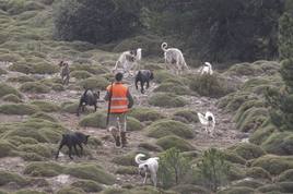 Un cazador participa en una batida con ayuda de sus perros.