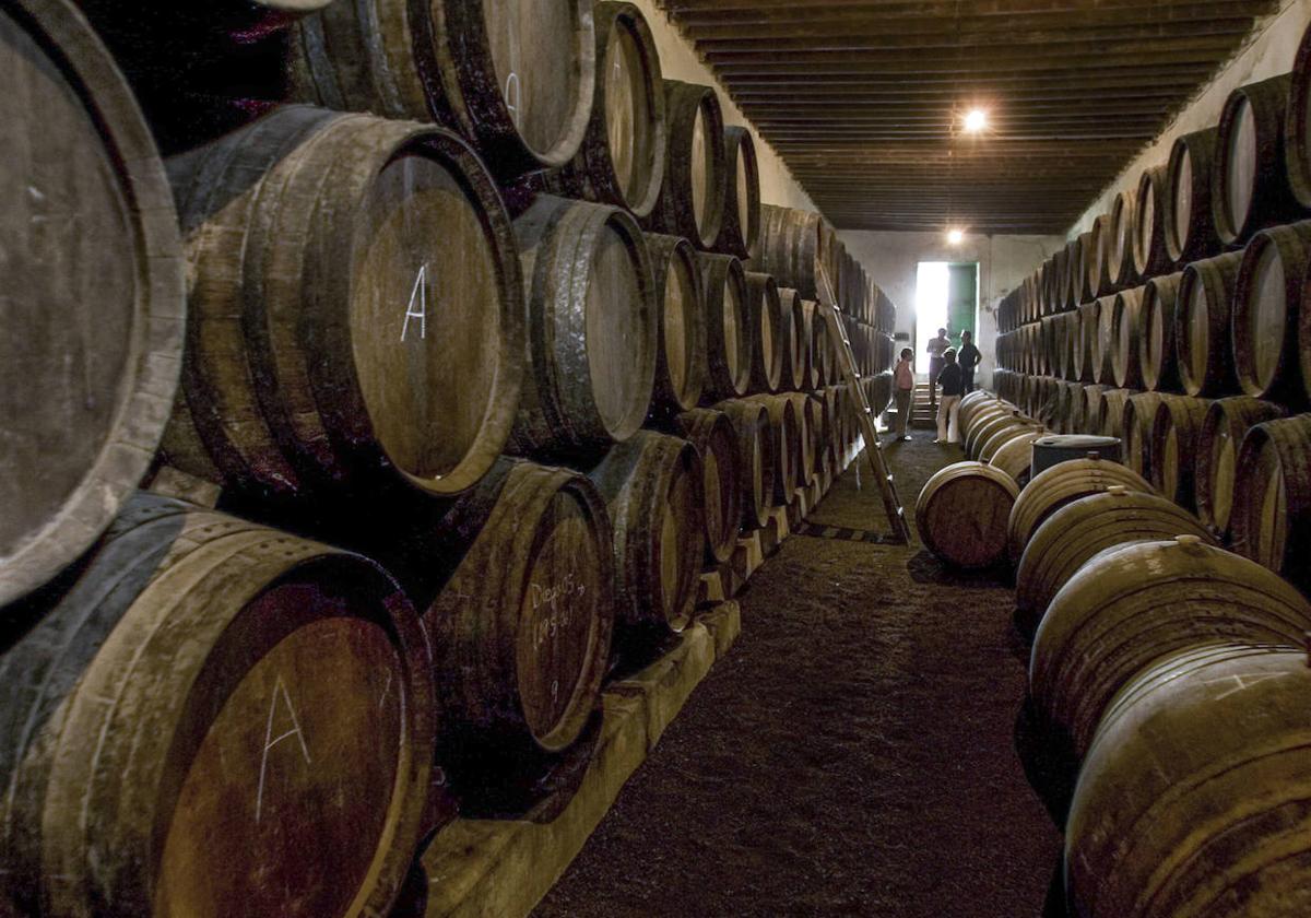 Las barricas almacenadas en una bodega.