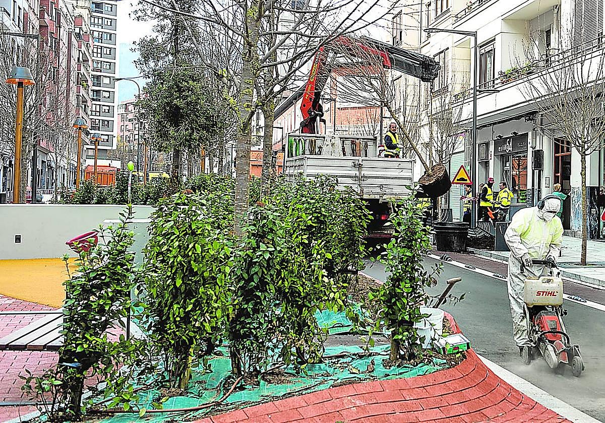 Plantación de los últimos árboles en el tramo renaturalizado de María Díaz de Haro, ayer por la mañana.