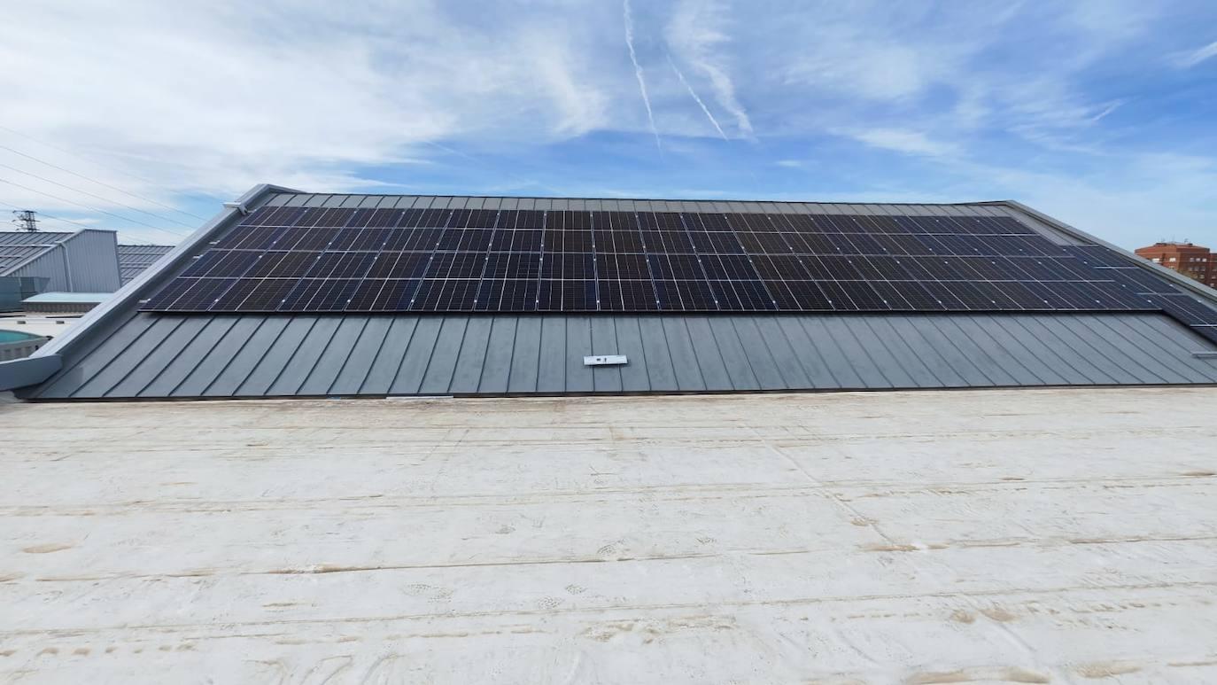 «Estamos en la tormenta perfecta para apostar por las energías renovables»