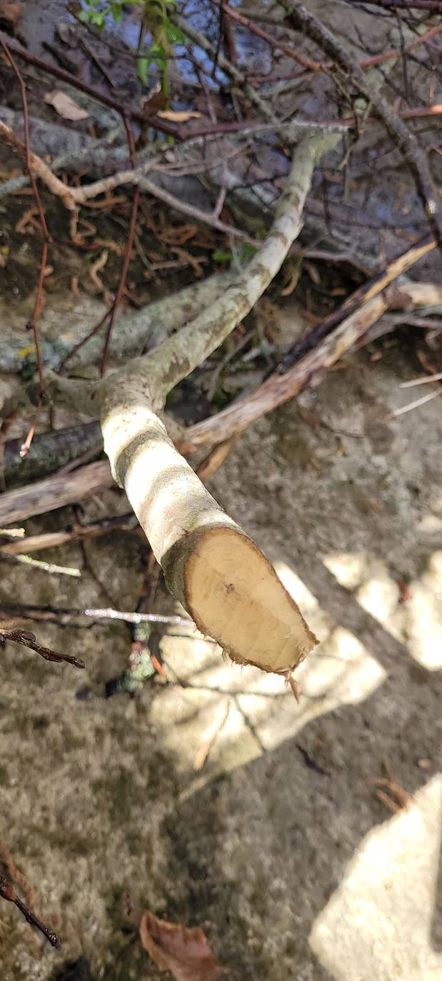 Imagen secundaria 1 - La Comunidad de Regantes de la Rioja Alavesa denuncia el sabotaje del caudal ecológico del Inglares