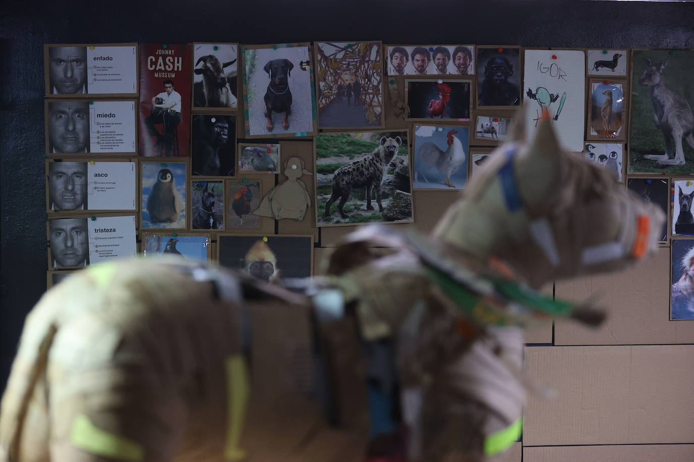 Por qué triunfan estos perros de cartón de 1.000 euros que se hacen en Bilbao