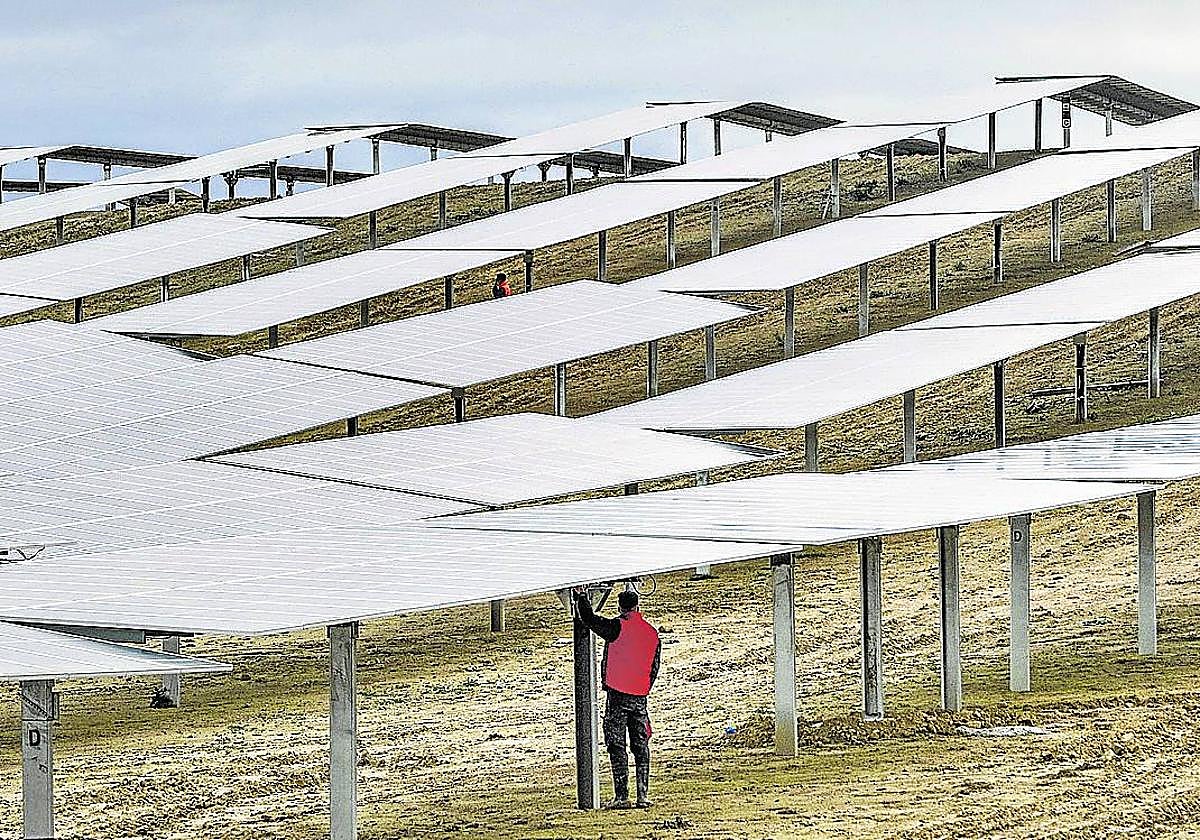 Placas fotovoltaicas instaladas por Ekienea en su planta de Arasur, en Lantarón.