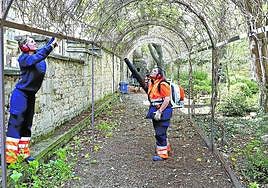 El alumnado de la primera fase trabajaba ayer en el Jardín de Don Lope.