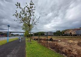 Barakaldo allana el terreno para dar forma al gran parque verde junto a la ría