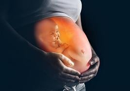 «Alokairuz hartzen dena ez da sabela, umetokia baizik».