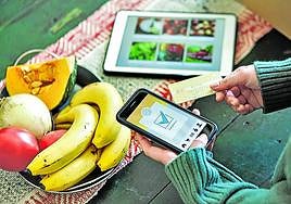 El 90% de la población usa intenet, cuyos riesgos cada vez generan más recelos.