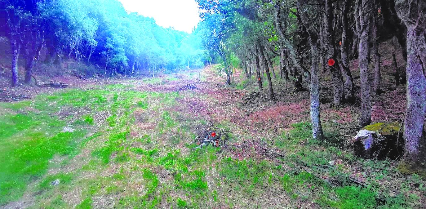 Los agentes sopesan la realización de trabajos de prevención en el monte debido al riesgo que entraña introducir cierta maquinaria.