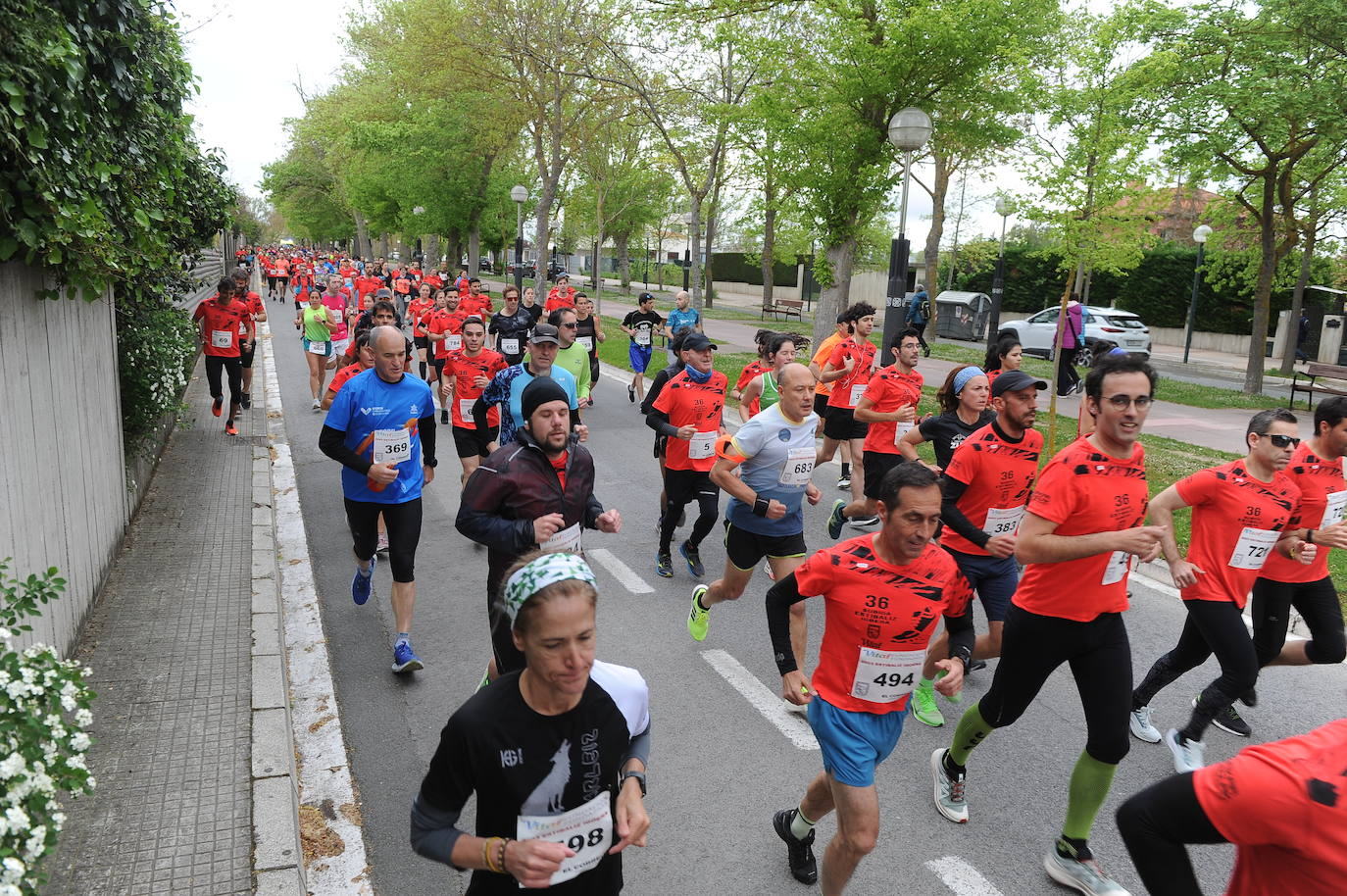 Medio millar de corredores se dan cita en la Vitoria-Estíbaliz