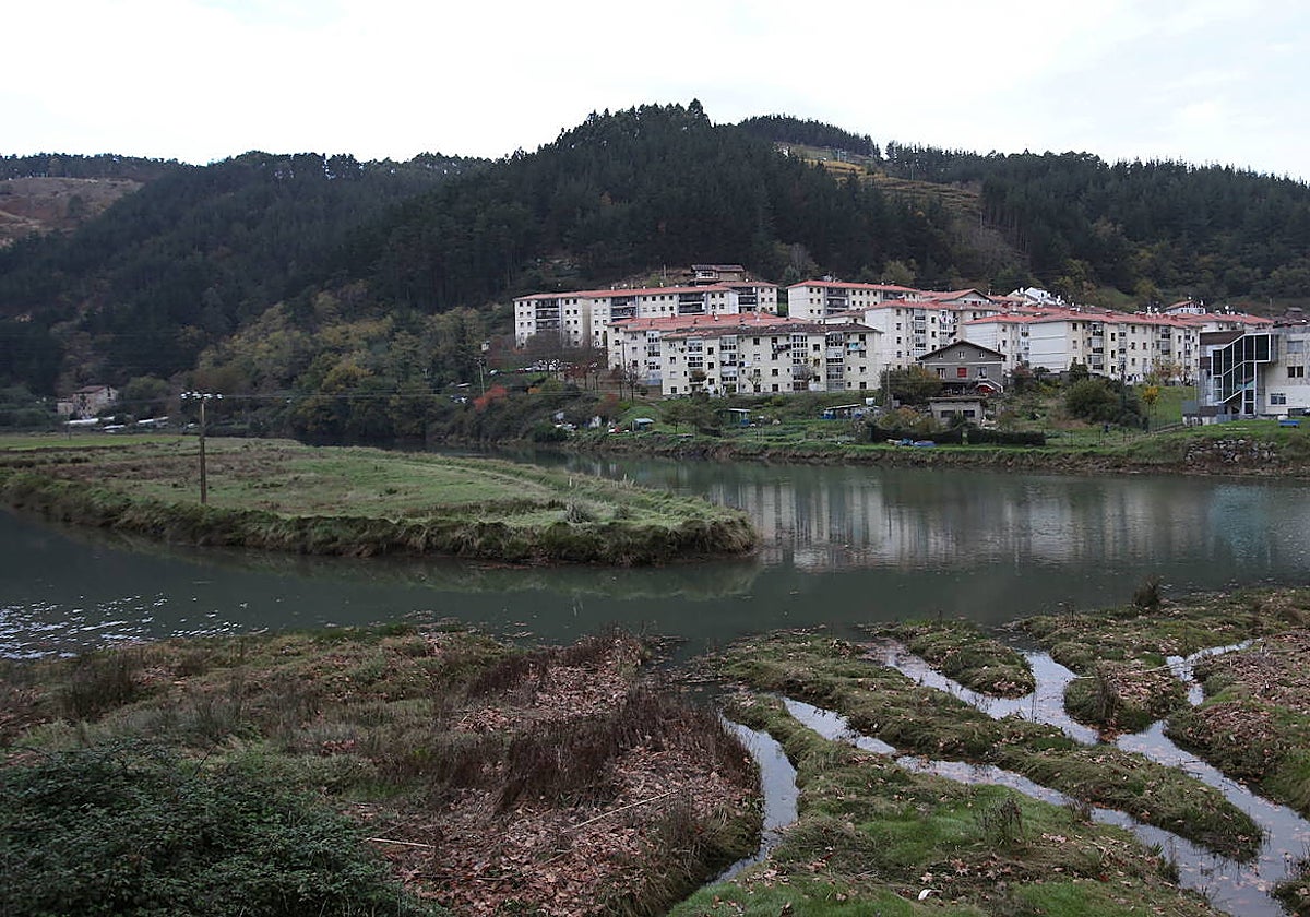 Las marismas de Aieri se sitúan a la entrada de Ondarroa.