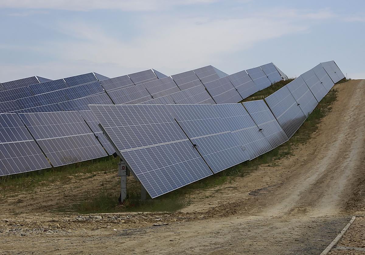 Varias placas fotovoltaicas en un parque solar.