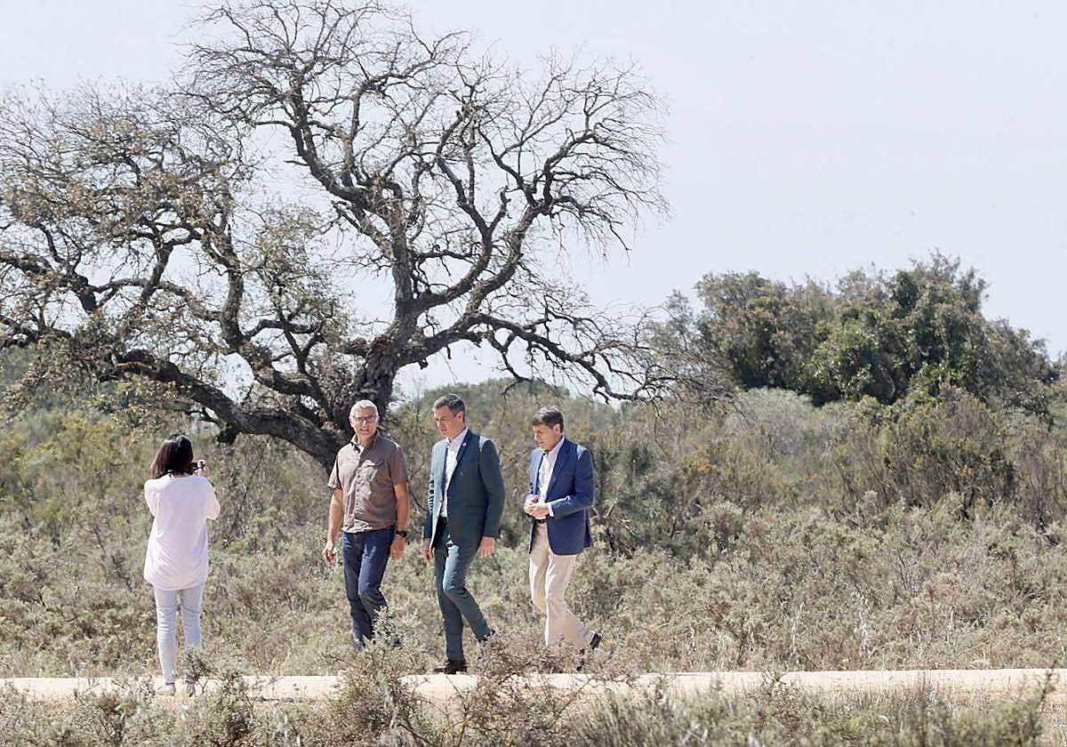 Bruselas, en la diana partidista