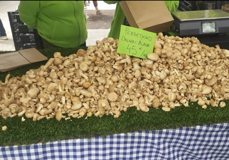 Perretxikos de origen alavés a 45 € el kilo ayer junto a la ermita de Armentia.