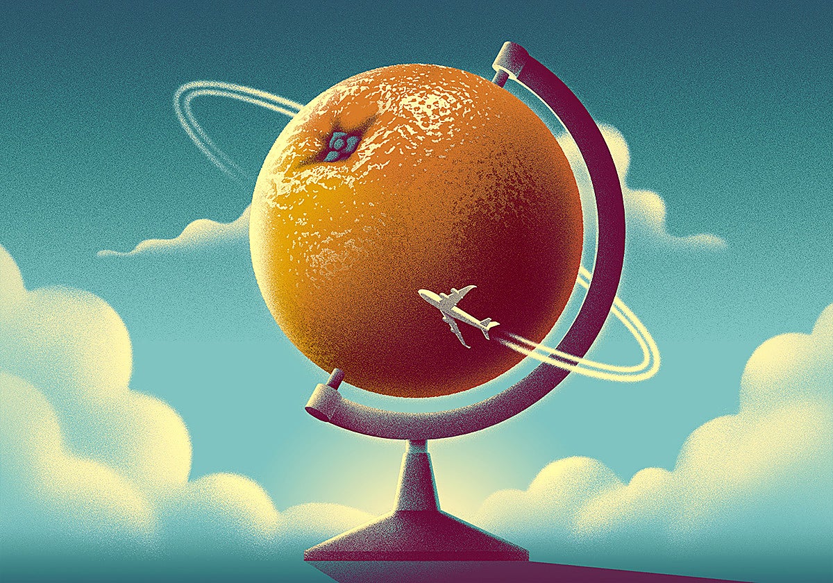 ¿Por qué los alimentos de proximidad son habitualmente más caros?