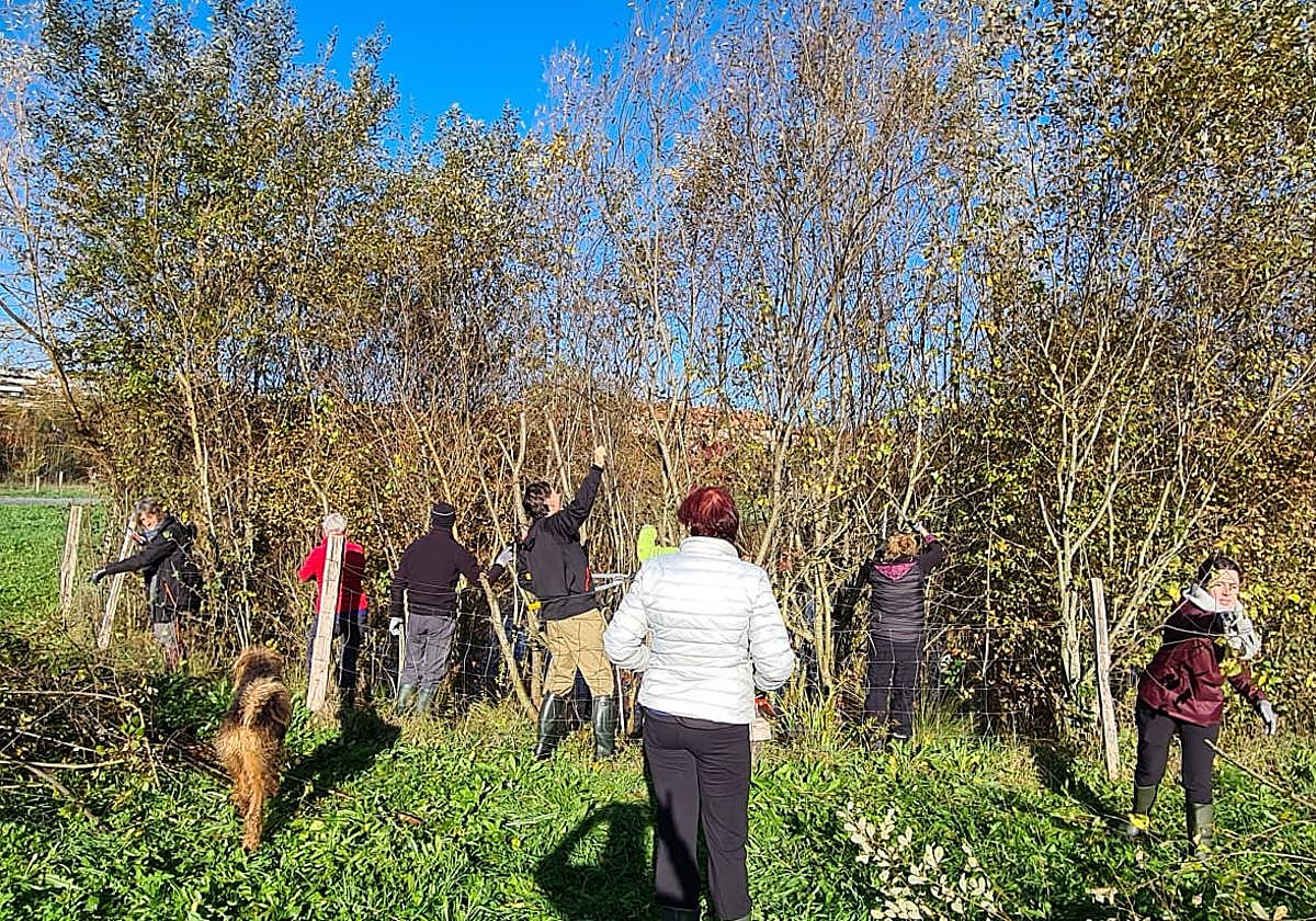 Voluntarios de la asociación Kiribile trabajan en la conservación del medio natural.