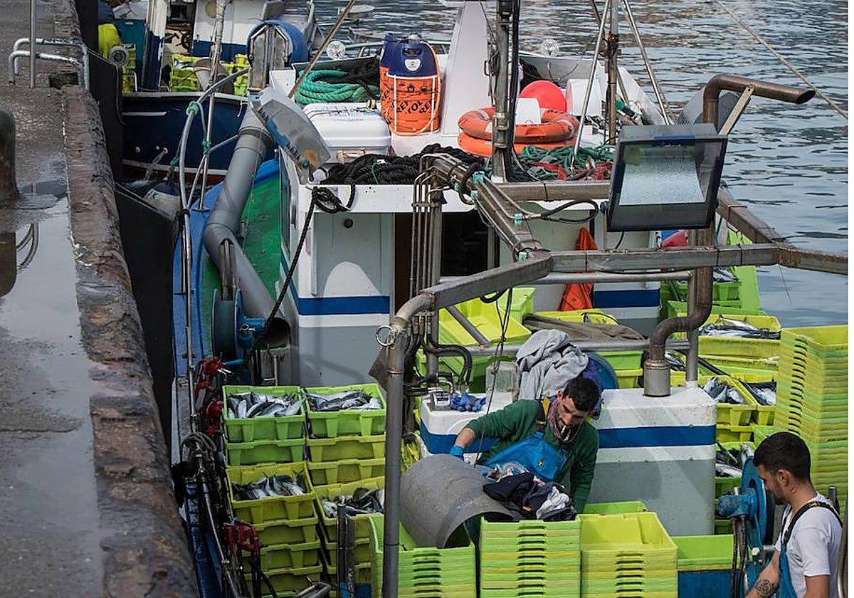 Las descargas de verdel en Bermeo no han sido buenas esta primavera.