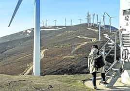 Fila de molinos de viento en el parque de Elgea, que con 23 años es el más antiguo de Euskadi.