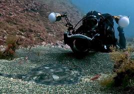 Un buceador filma a un 'mosaico' en el fondo del mar de Lekeitio.