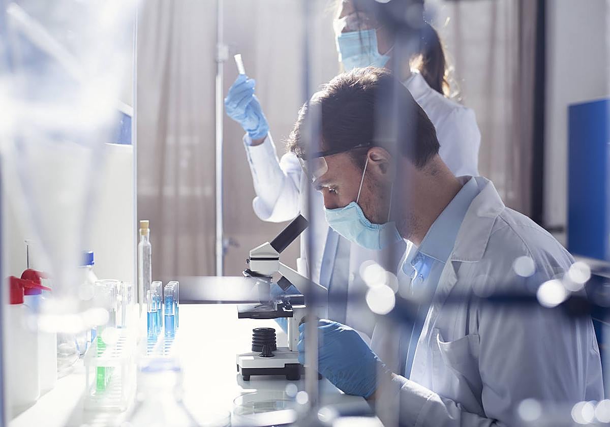 Imagen ajena a la información.