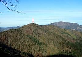 Zona donde se realizarán las catas arqueológicas