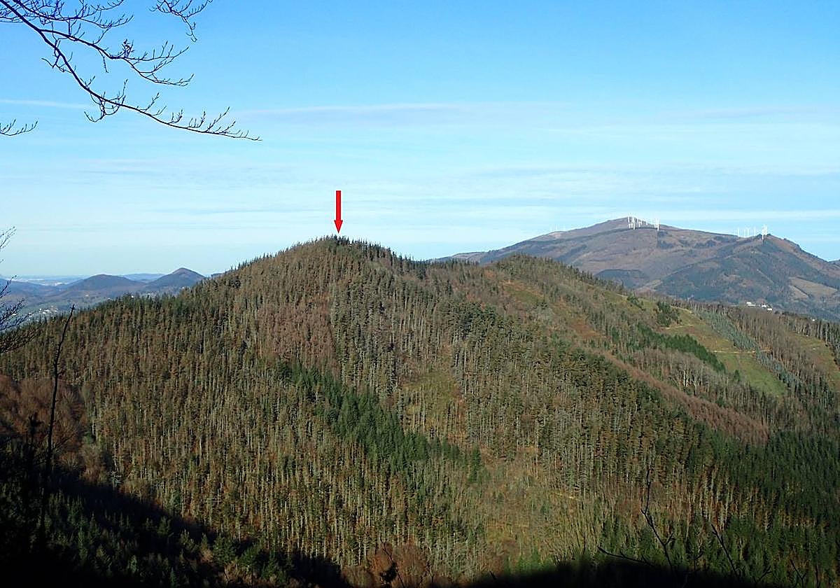 Zona donde se realizarán las catas arqueológicas