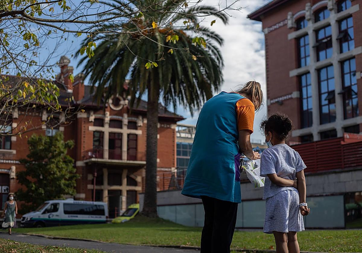 La palmera canaria es una de las especies que aparece en el mapa interactivo. .