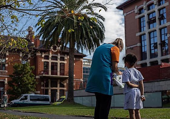 La palmera canaria es una de las especies que aparece en el mapa interactivo. .