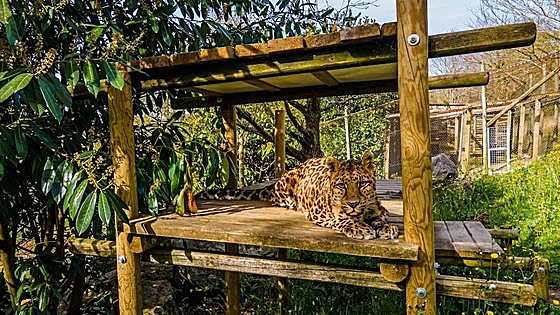 El Karpin se encomienda a una nueva gestión para revitalizar su centro de fauna silvestre