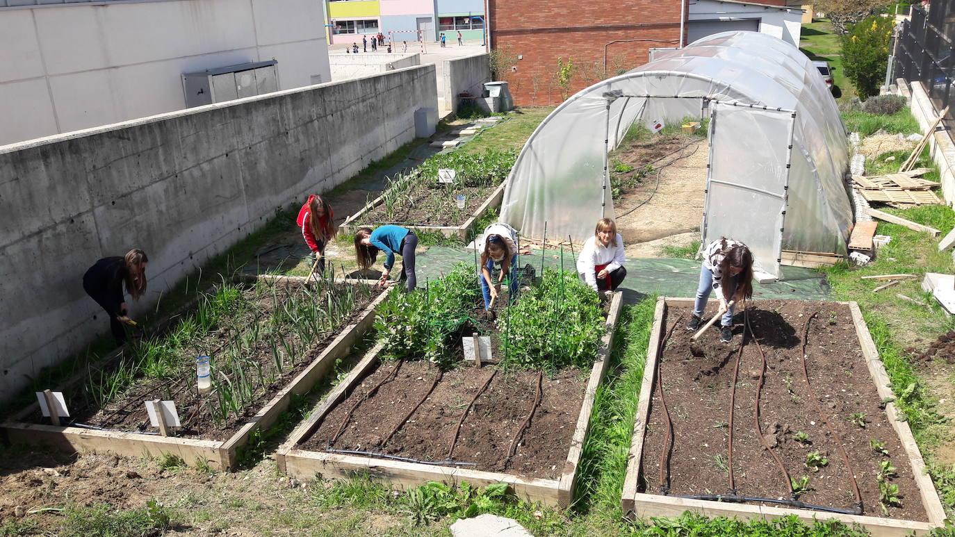 Los 50 años de la escuela de Rivabellosa