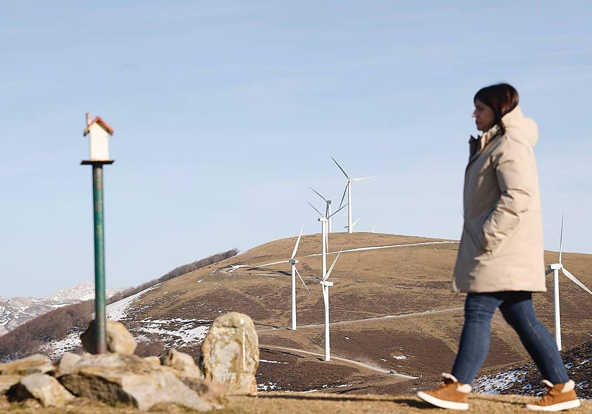 Parque eólico de Elgea.