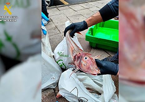 Imagen secundaria 1 - Intervenidos en Mundaka más de 200 kilos de pescado y marisco preparados para su venta irregular