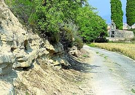 El talud que discurre a lo largo del camino al cementerio suele tener desprendimientos.