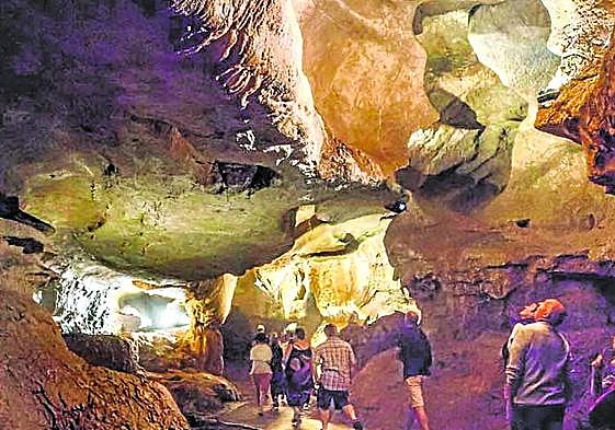 Interior de la cueva de Sare, de interés internacional por las numerosas especies de murciélagos que habitan en ella.
