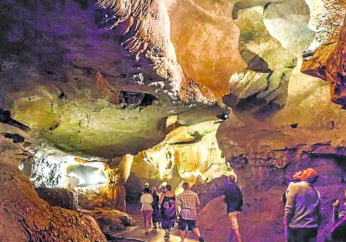 Interior de la cueva de Sare, de interés internacional por las numerosas especies de murciélagos que habitan en ella.