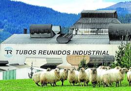 Imagen de la factoría de Tubos Reunidos en la localidad alavesa de Amurrio.