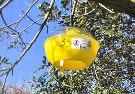 Se han colocado cincuenta trampas por toda la villa, como en el parque Ellacuría.