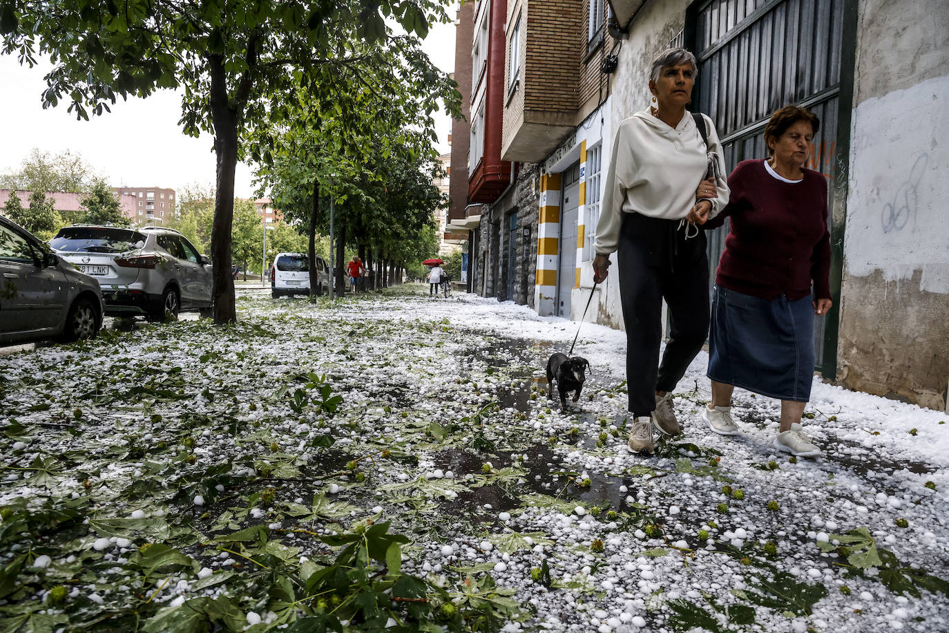 Las fotografías de la granizada de Vitoria