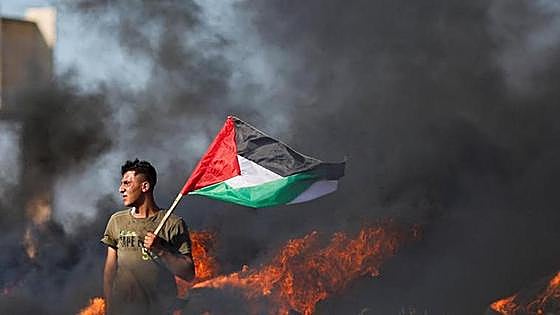Yenín y el destino de Palestina