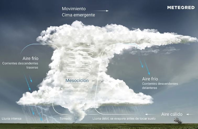 Estructura de una supercélula.