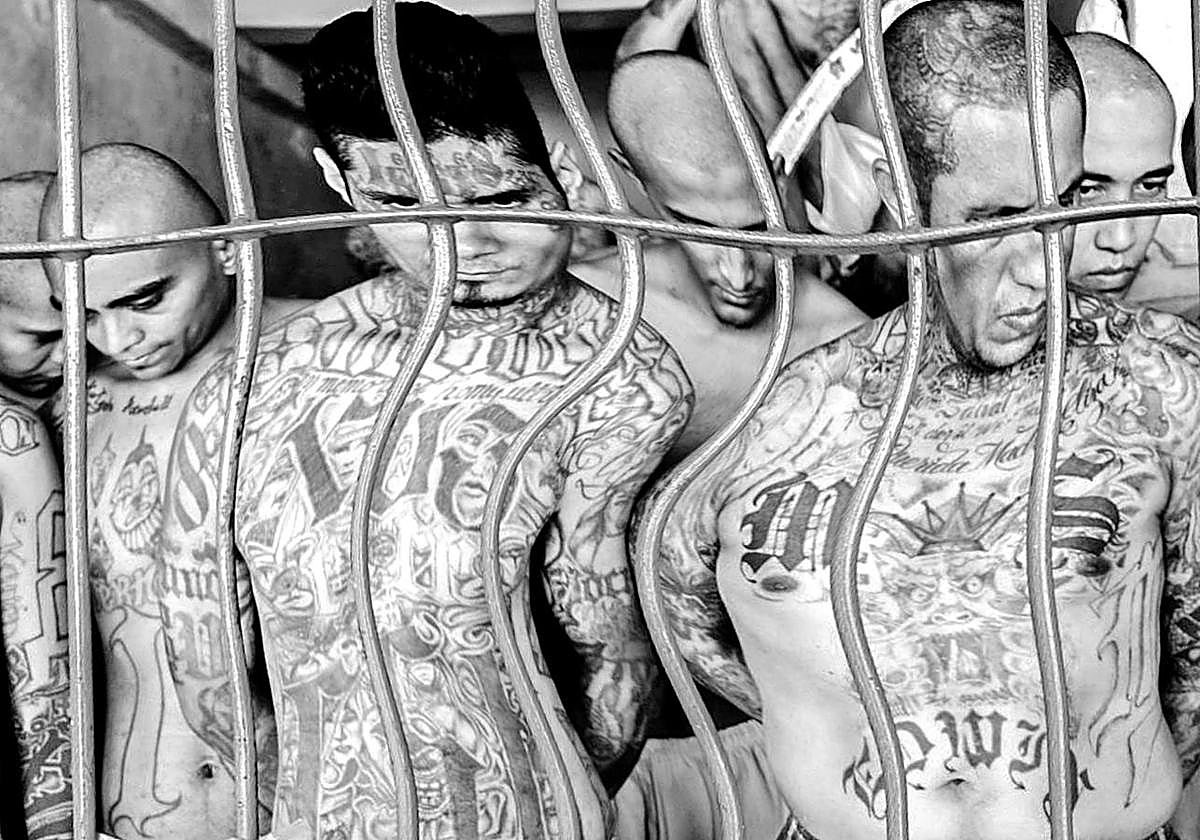 Sin seguridad no hay democracia