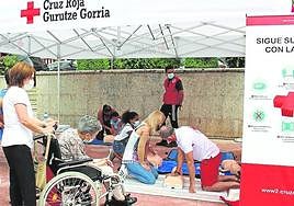 Sus personas voluntarias obtienen formación a lo largo del año.