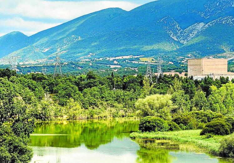 La central se sitúa a la orilla del Ebro, bastión en la península ibérica de esta especie amenazada.