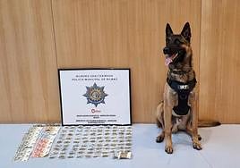 El 'agente' de la unidad canina con la droga preparada para su uso