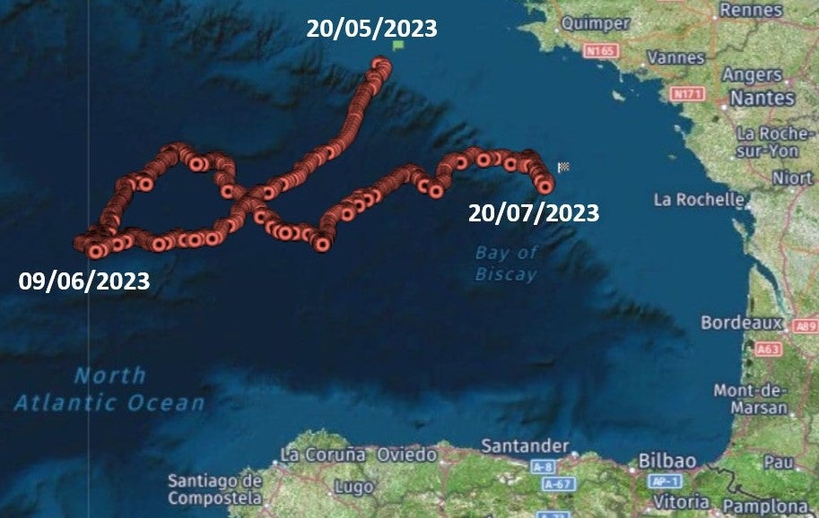 Trayectoria de una boya de deriva superficial liberada en mayo de 2023 en la campaña ecosistémica BIOMAN para la estima de la biomasa de anchoa y sardina en el golfo de Vizcaya.. Las boyas son muy pequeñas y ligeras y simulan ser carabelas portuguesas, ayudando a entender cómo es la deriva de estos organismos, que recorren más de 500 kilómetros en un mes.