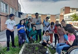 Las huertas prenden en la azotea del instituto de Durango